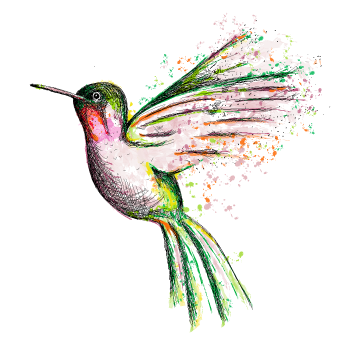 Inkdesign hummingbird