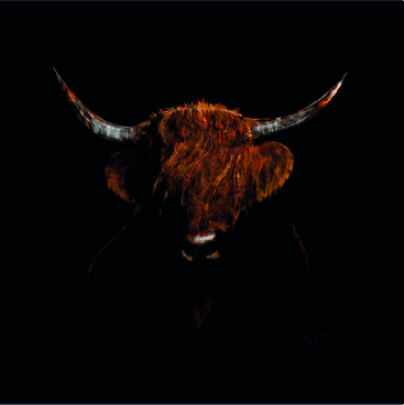 InkDesign stier 367x367